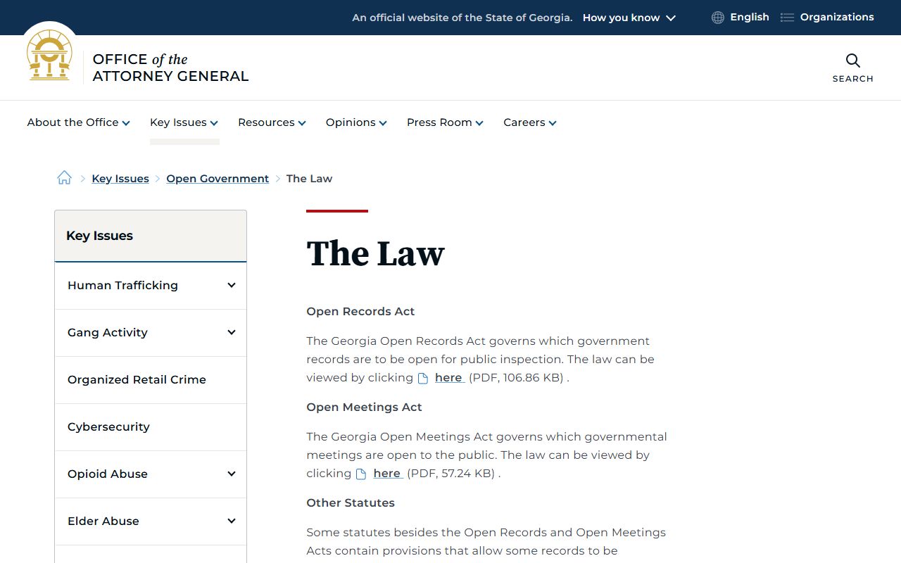 Union County court records Georgia Attorney General open government law